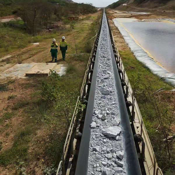 用邁世軌道巡檢機器人，海運碼頭長距離送料巡檢實現無人化