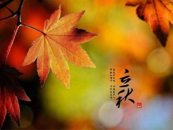 秋來了，莫慌！智慧主機依舊值得推薦的